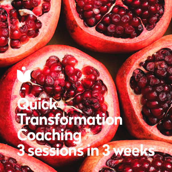 Quick Transformation Coaching - 3 Sessions in 3 Weeks